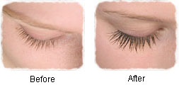 NovaLash Eyelash Extensions